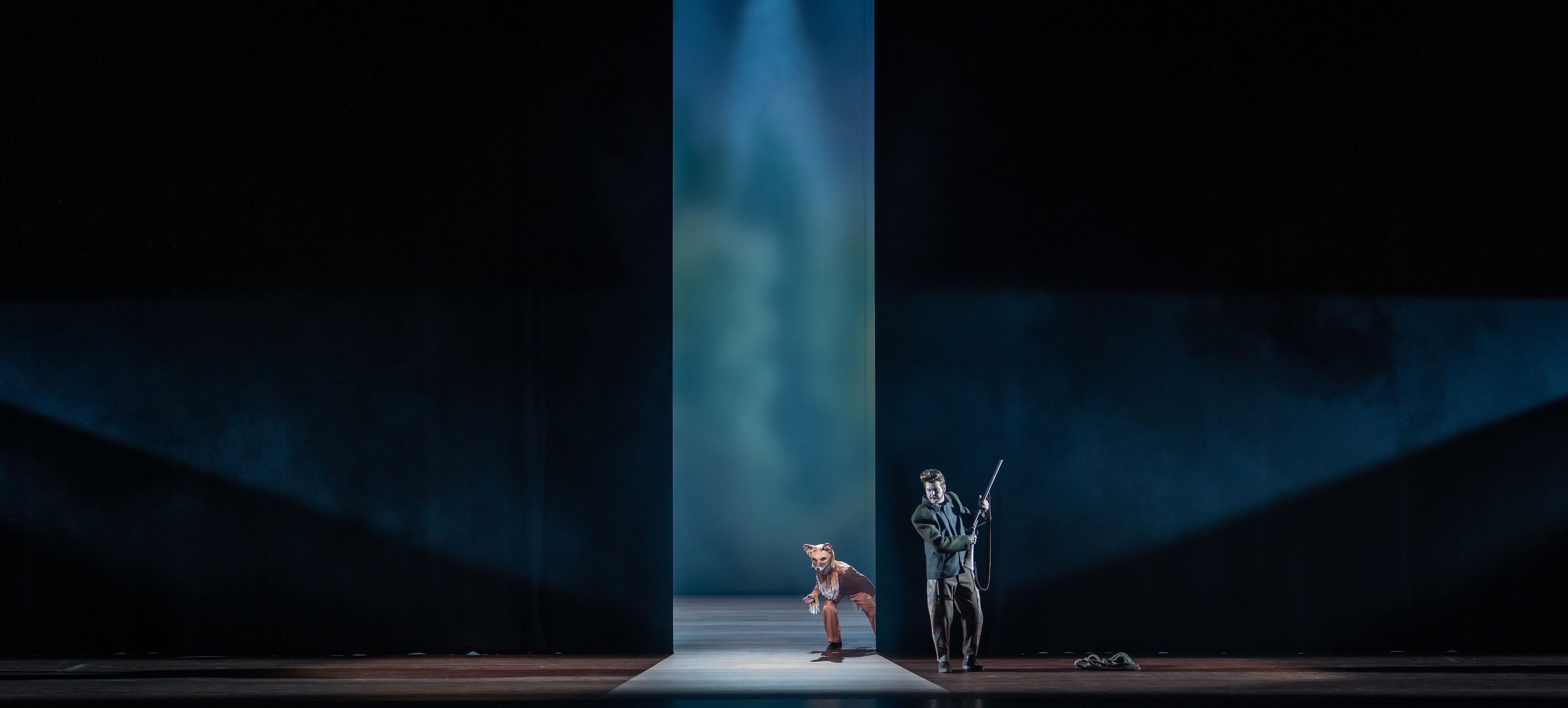 HetSluweVosje001 Kopie 2