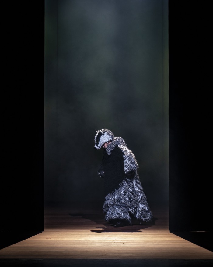 HetSluweVosje001 Kopie 3