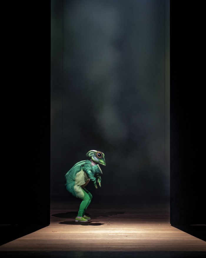 HetSluweVosje005 Kopie