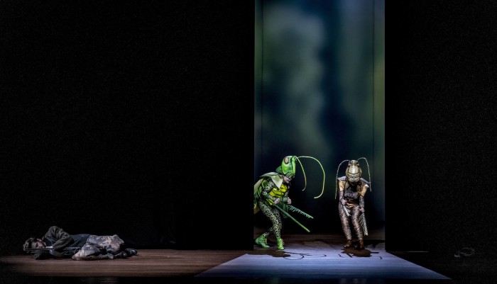 HetSluweVosje010 Kopie