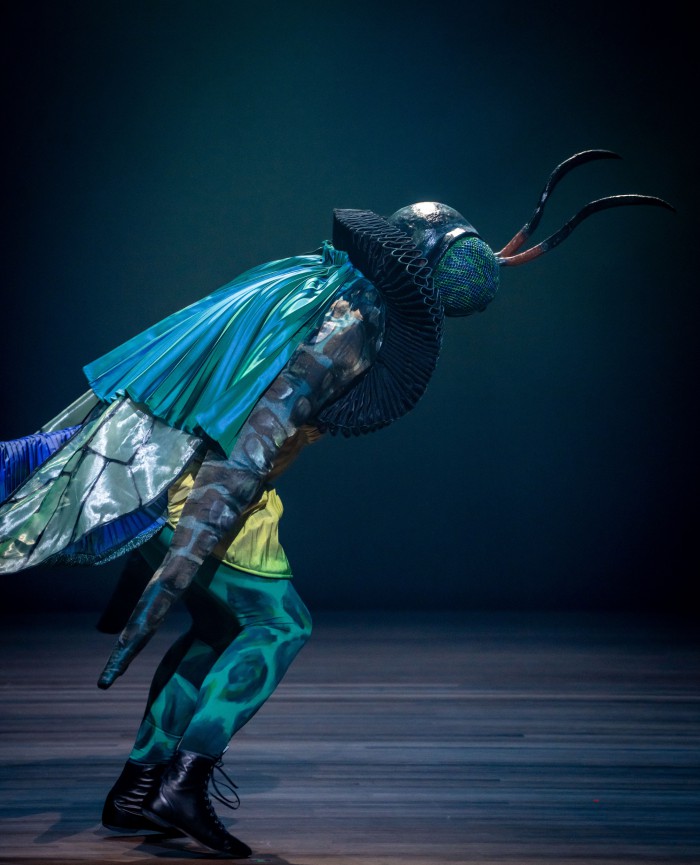 HetSluweVosje028 Kopie