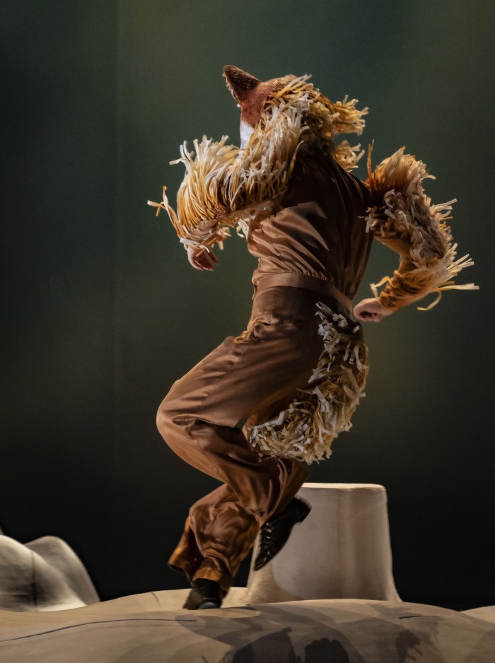 HetSluweVosje059 Kopie